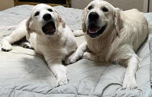 Addie and Keeper, 2023